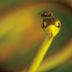 Image for article titled Nature Photos That Will Rock Your World